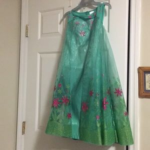 Frozen Ever after costume dress